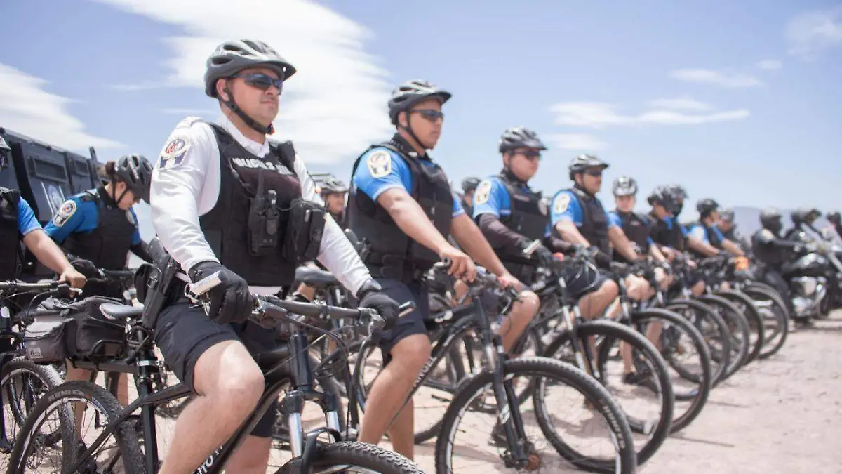 WhatsApp Image 2022-03-23 at 12.36.36 PM (1)