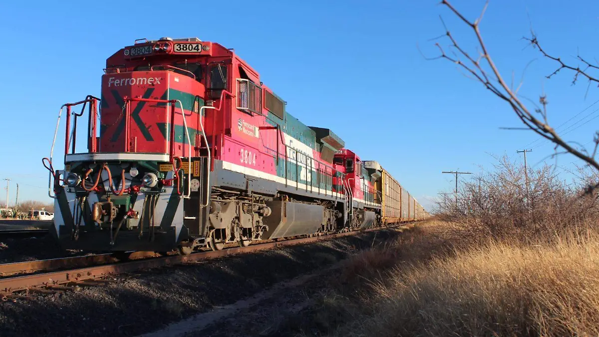 WhatsApp Image 2023-03-31 at 4.57.37 PM