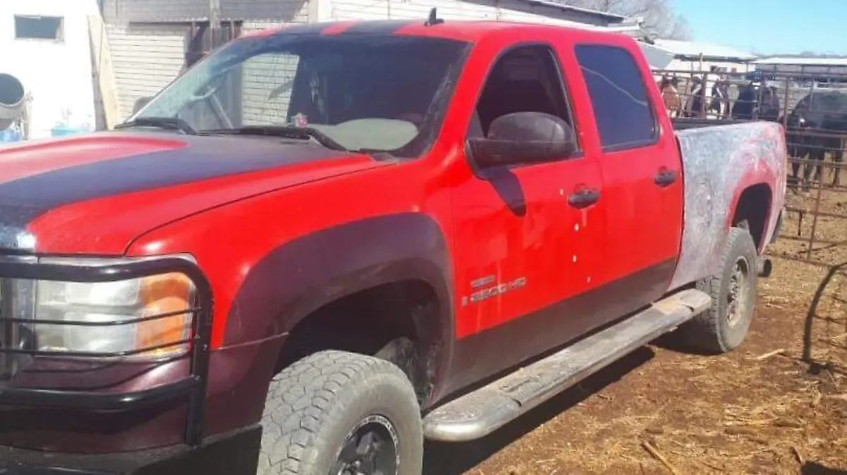 WhatsApp Image 2021-02-08 at 6.17.19 PM