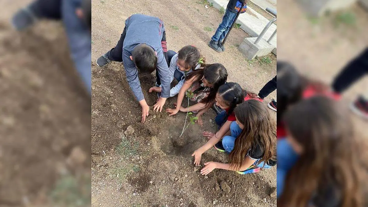 WhatsApp Image 2023-07-15 at 1.32.49 PM