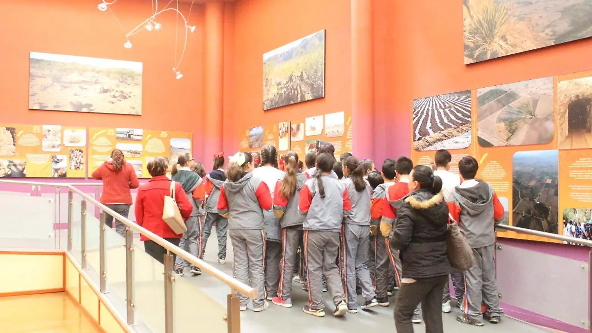 WhatsApp Image 2023-08-09 at 3.25.31 PM