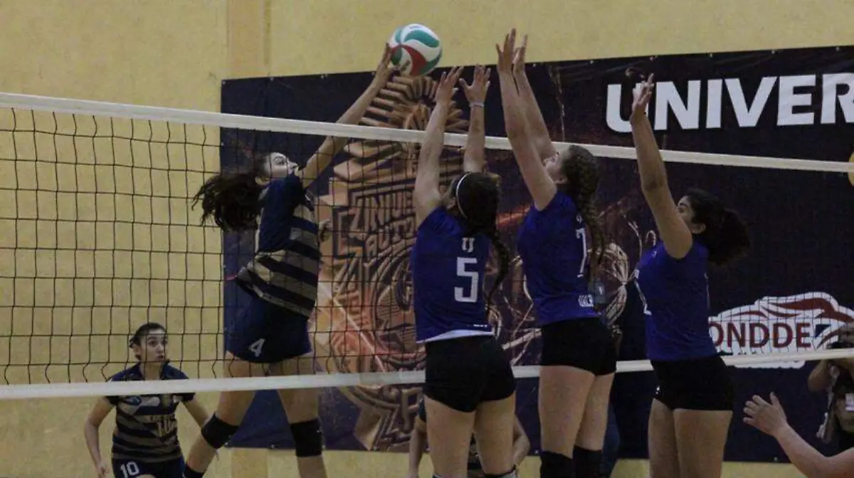 a0eef180-be56-46af-bfa5-115f8108b4bb