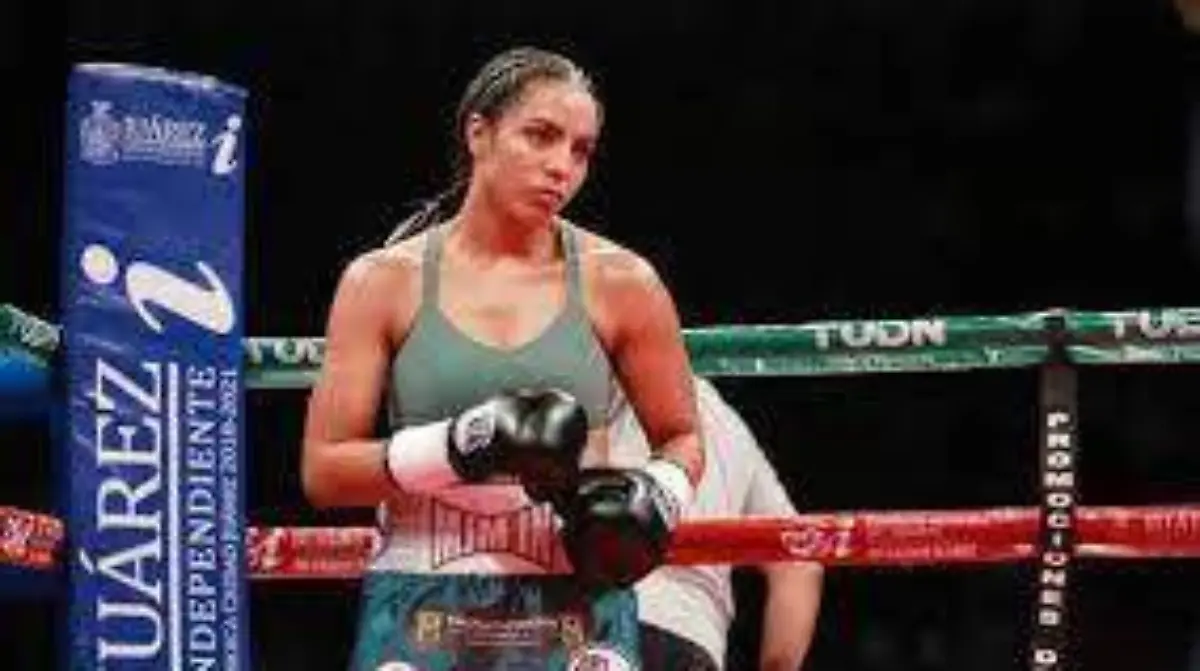 WhatsApp Image 2022-02-12 at 3.35.02 PM