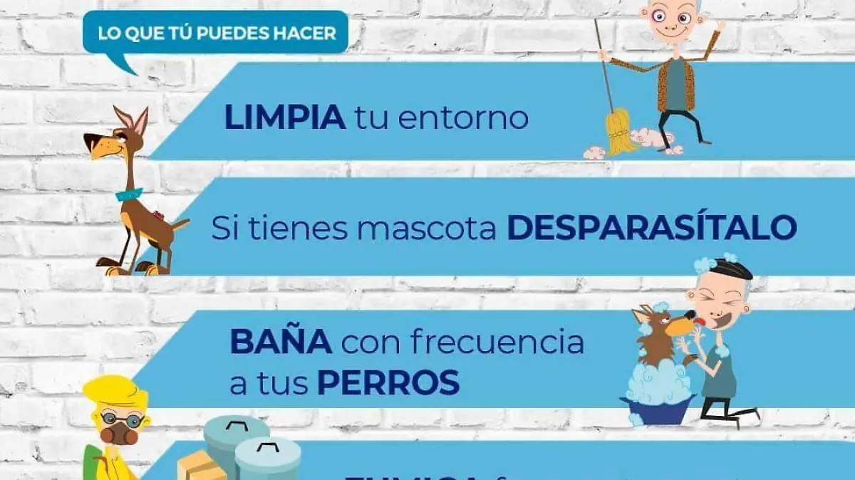 prevención de rickettsia