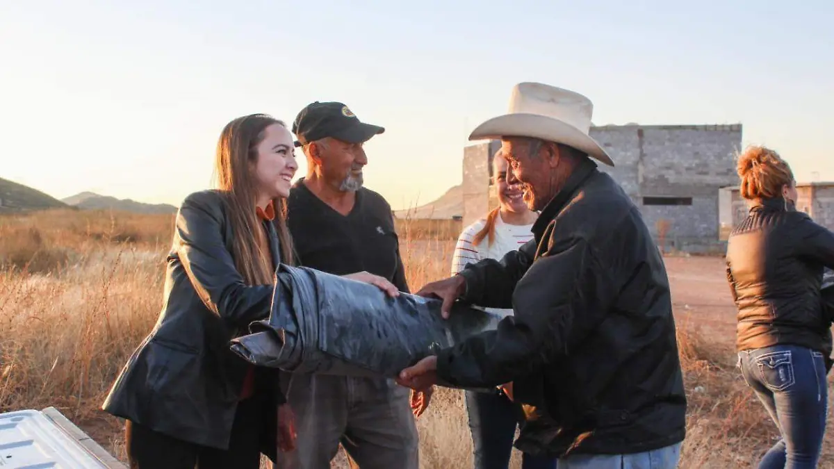 WhatsApp Image 2022-11-19 at 10.08.03 AM (1)