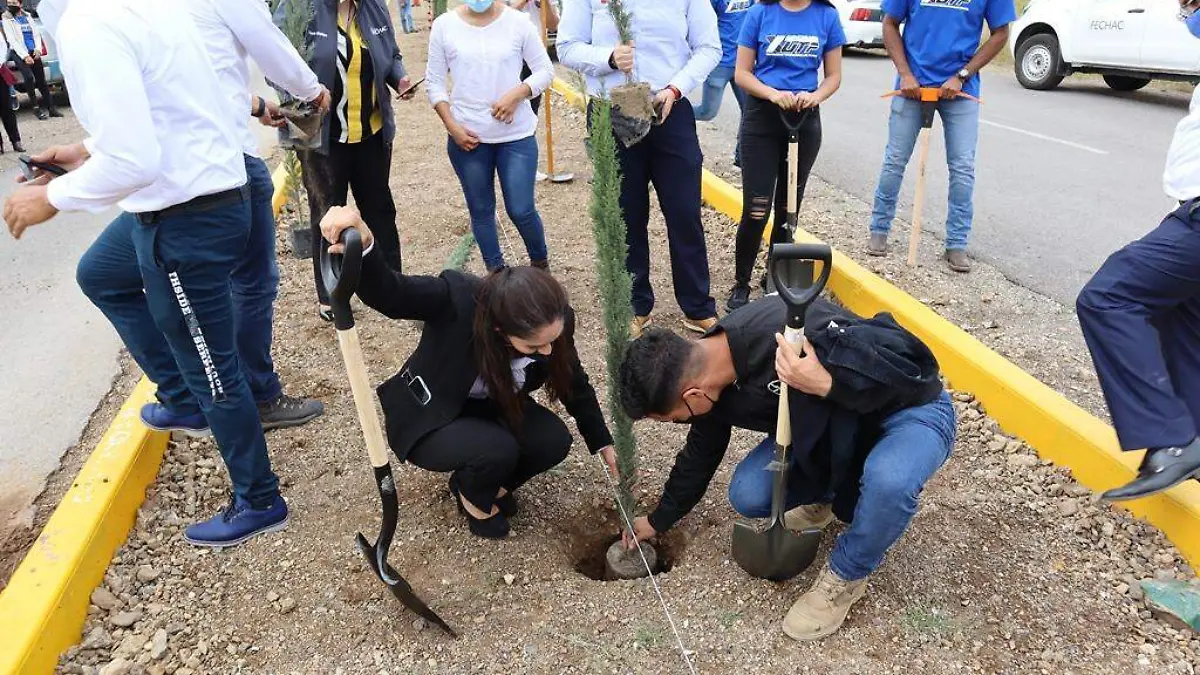 campaña reforestación parral