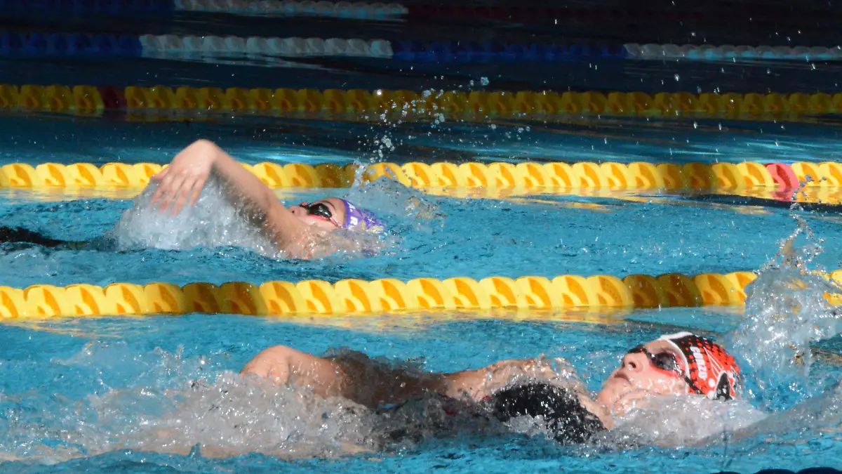 Natacion-3 colas