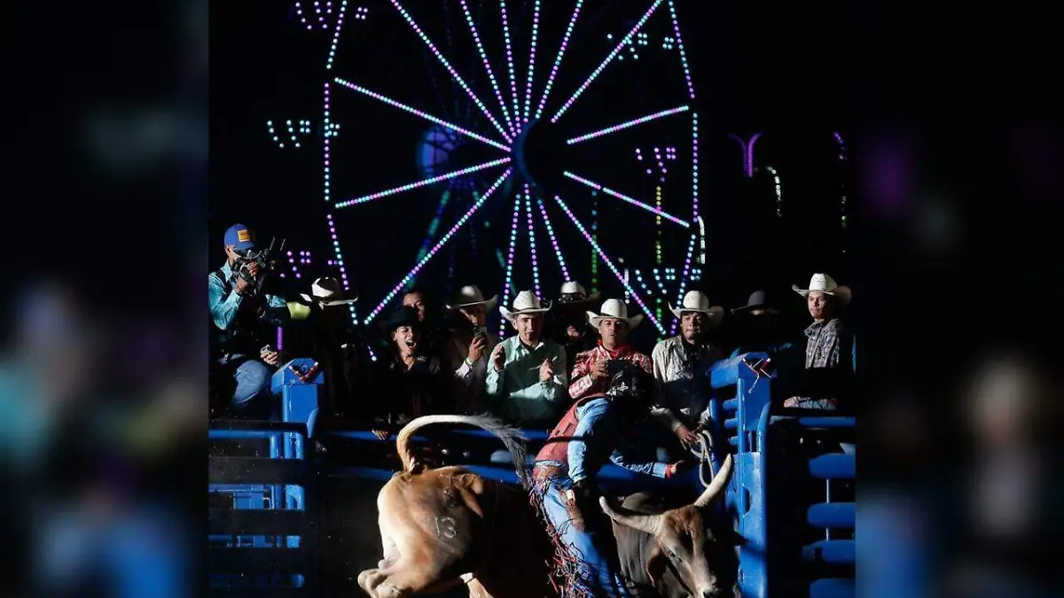 WhatsApp Image 2023-02-02 at 4.16.34 PM