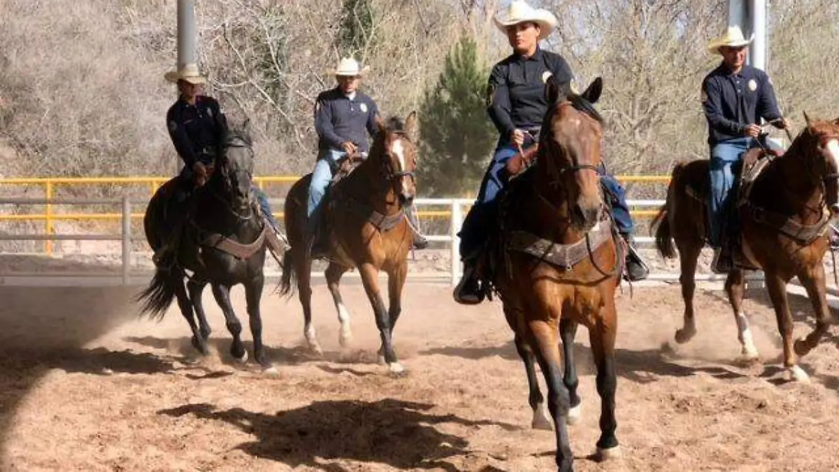 policìa montada3