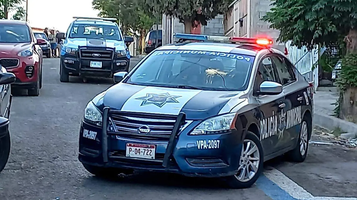 WhatsApp Image 2022-07-30 at 10.35.03 AM