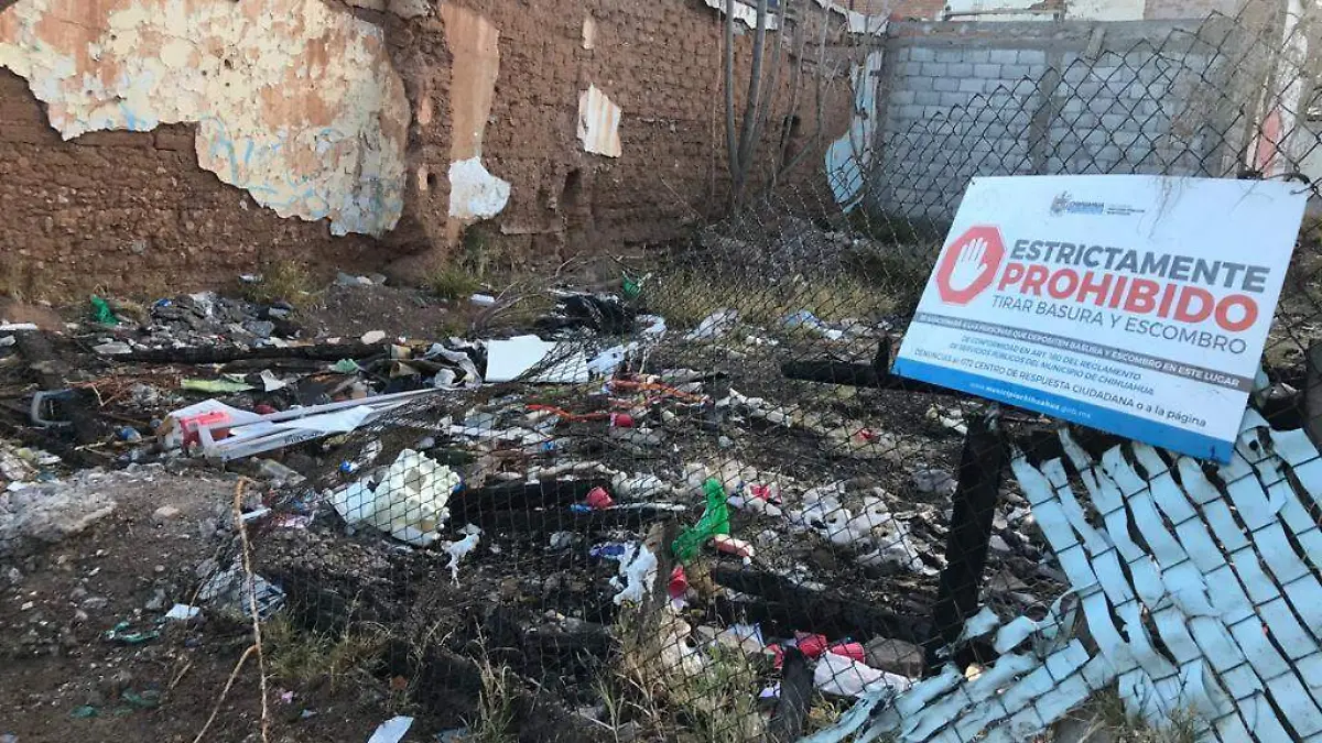 basura 1