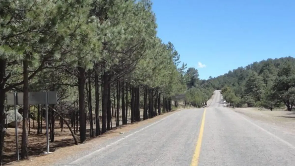 carretera chihuahua