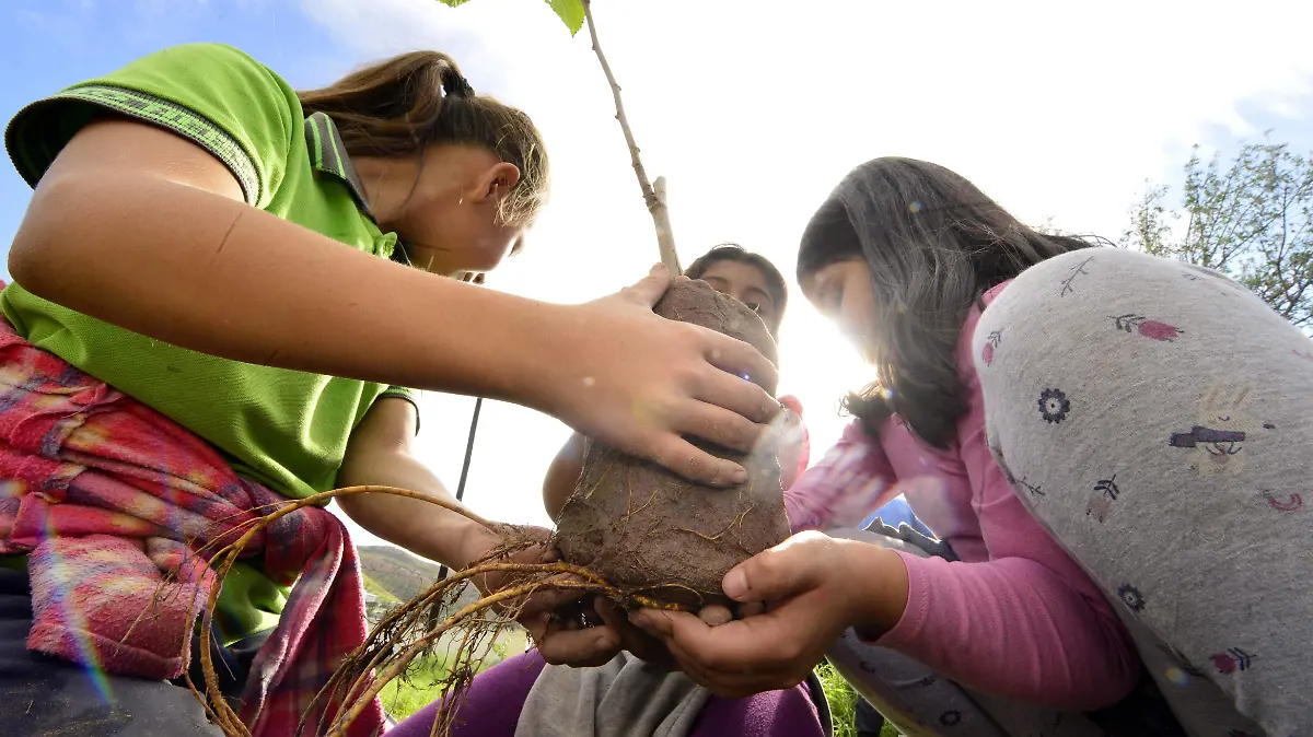 reforestacion esc Amado Nervo  (152)