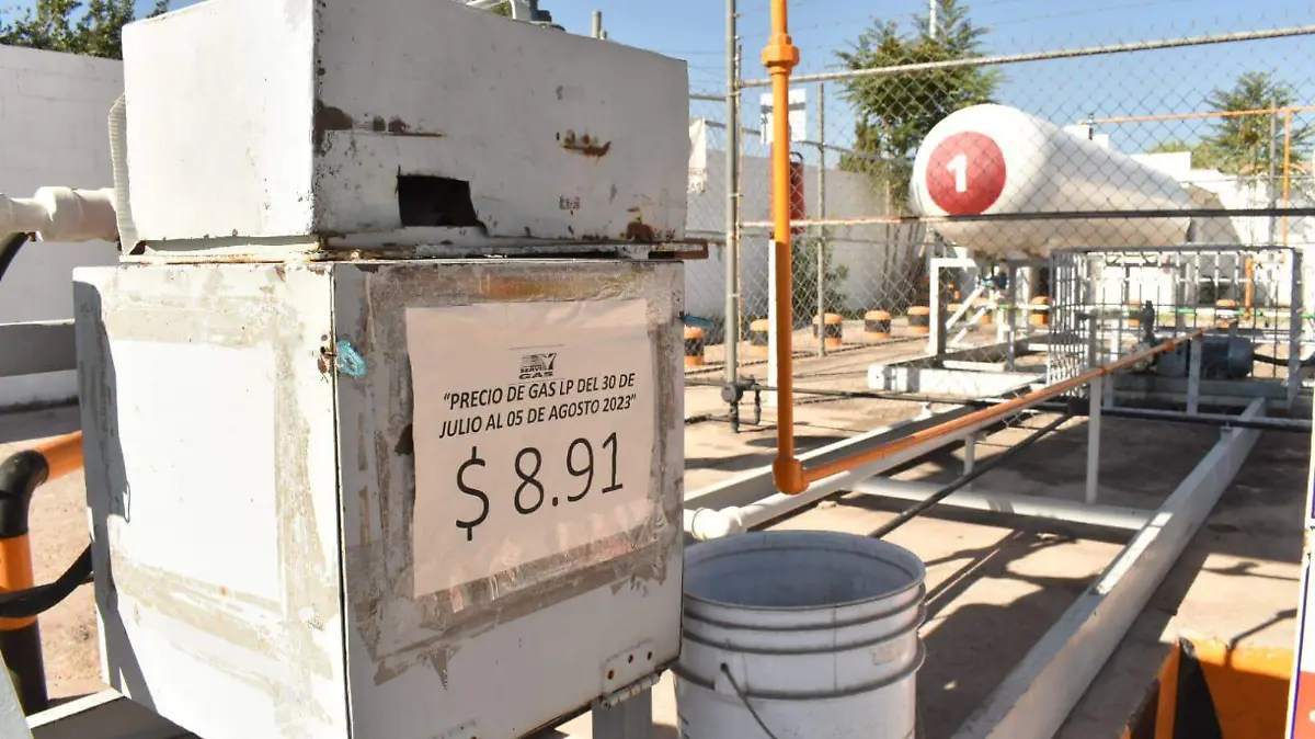 WhatsApp Image 2023-08-05 at 9.28.57 AM