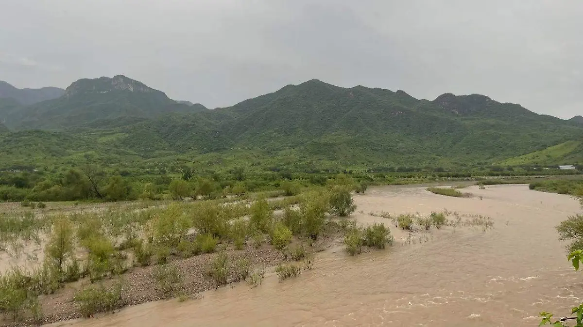 WhatsApp Image 2022-08-11 at 11.15.21 AM