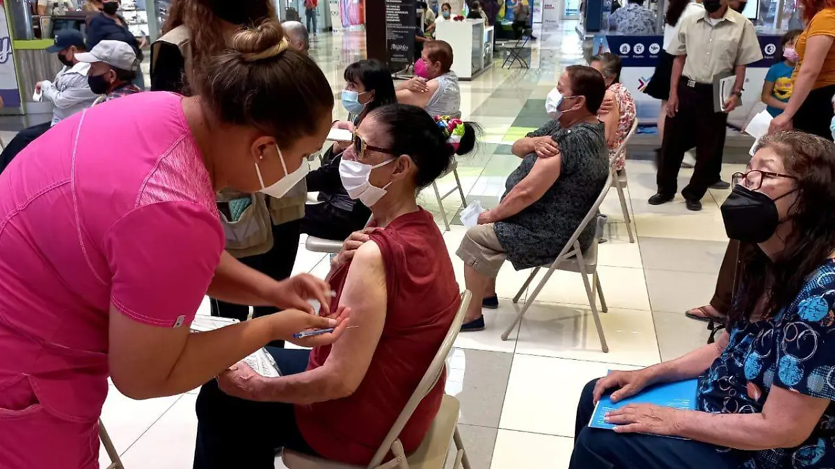 WhatsApp Image 2022-04-23 at 3.27.21 PM