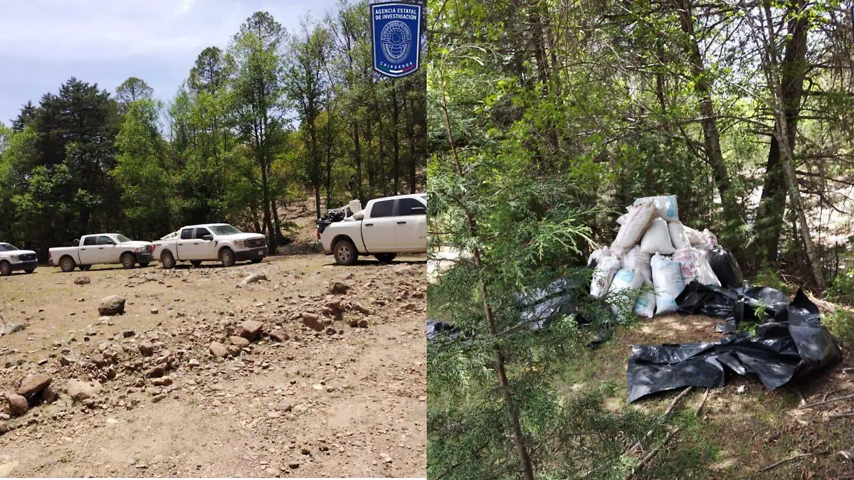 cerocahui operativo marihuana