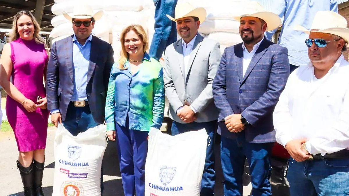 Imagen de WhatsApp 2023-09-01 a las 12.20.16