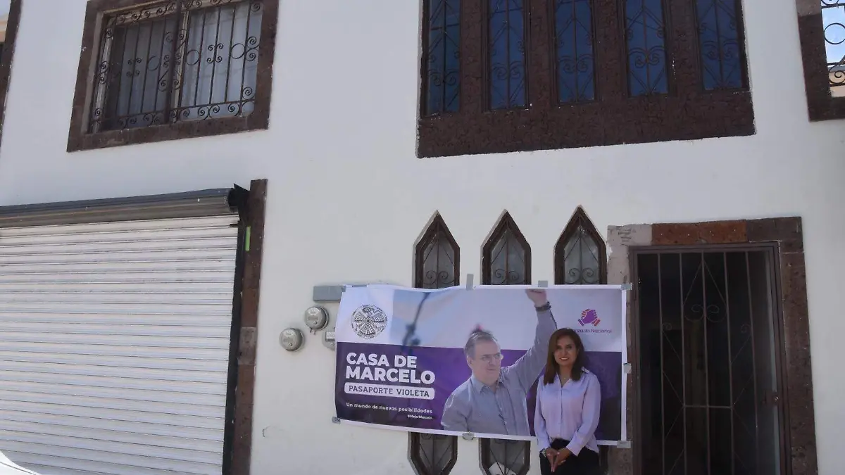 Pasaporte Violeta de Marcelo Ebrard