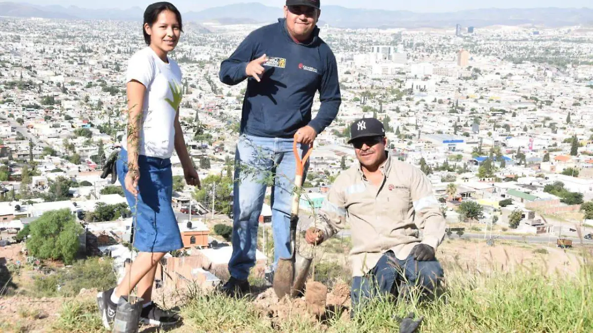 5cf19a2a-cebf-4383-a9e0-0742bd78bcad