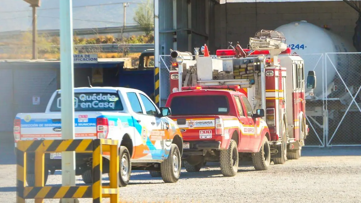 WhatsApp Image 2020-11-12 at 9.39.08 AM