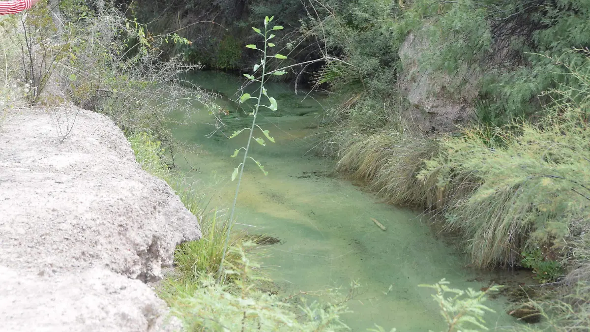 Manantiales geotermales de julimes (16)