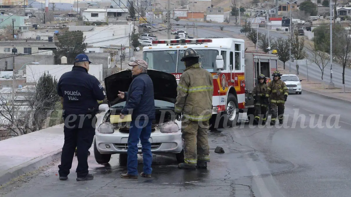 WhatsApp Image 2023-02-19 at 11.01.52