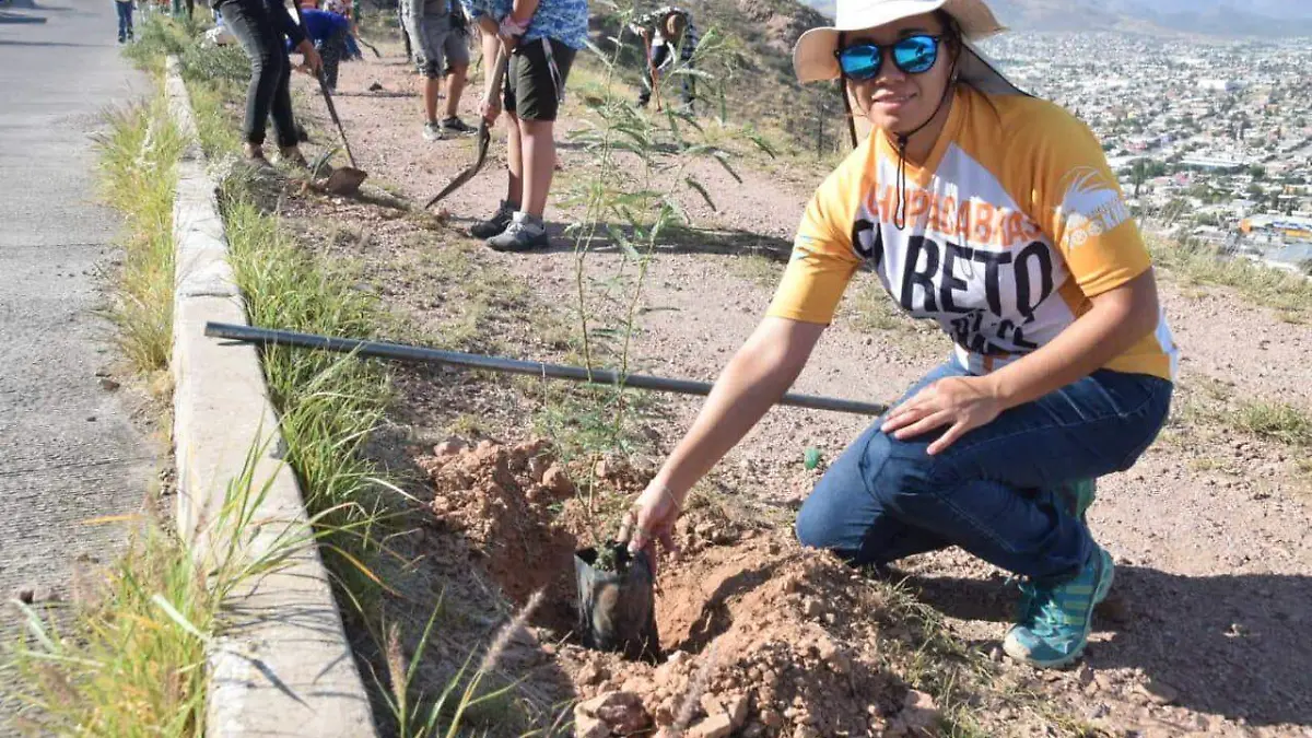 2821ee1c-8e44-48e5-aad8-8d92f01c6ccc