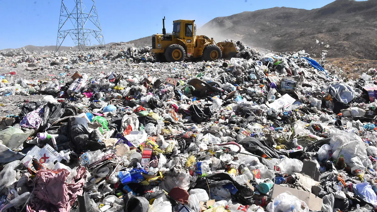 basurero aquiles serdan (7)