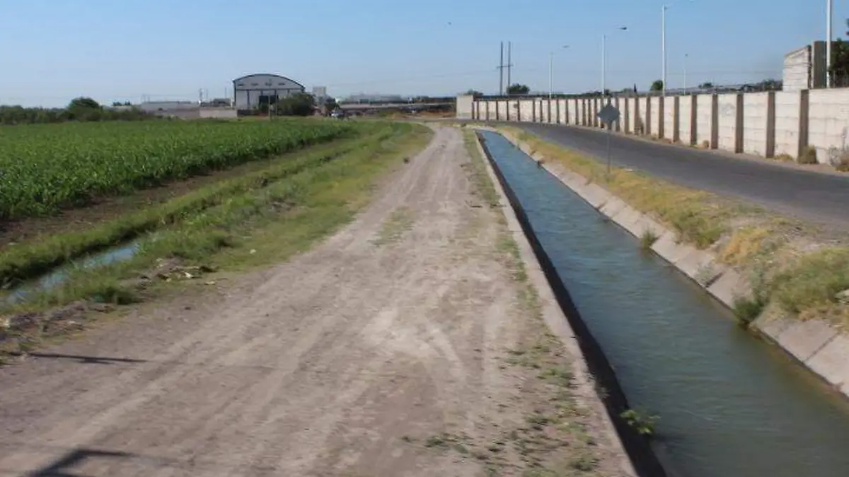 WhatsApp Image 2021-01-28 at 9.19.16 AM