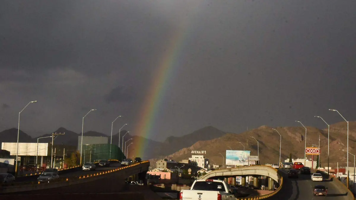 WhatsApp Image 2021-12-19 at 4.50.36 PM