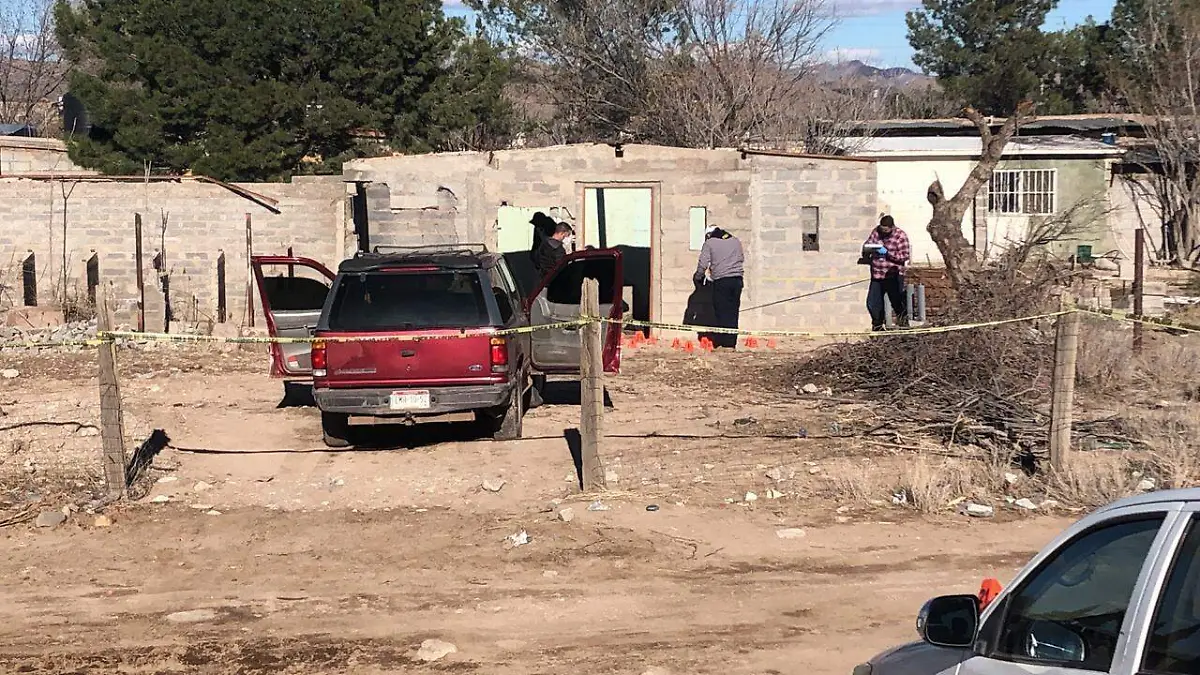 WhatsApp Image 2021-02-18 at 4.18.30 PM