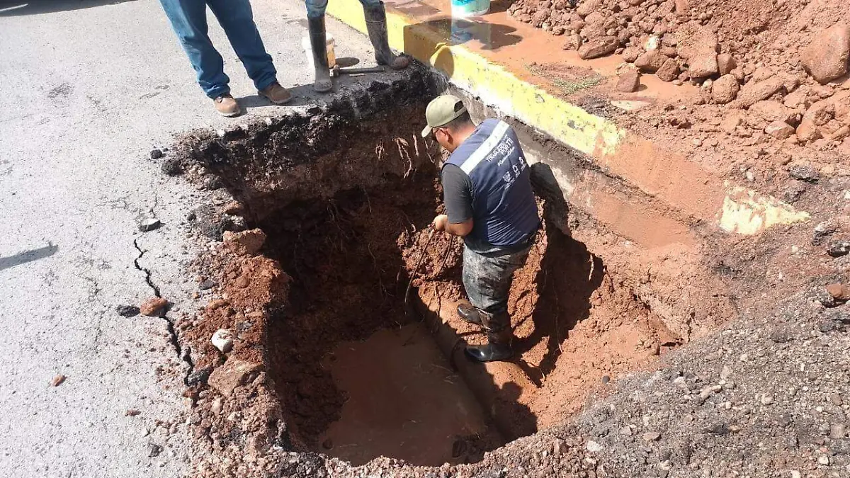 WhatsApp Image 2022-08-23 at 11.48.49 AM