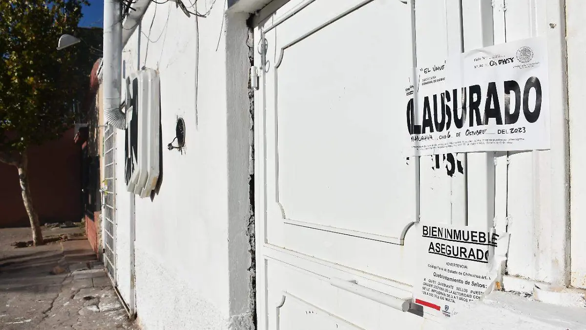 WhatsApp Image 2023-10-13 at 2.06.41 PM