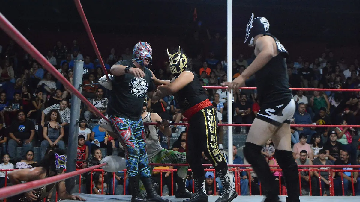 polo lucha
