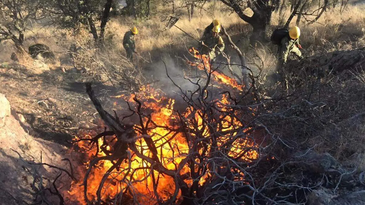 WhatsApp Image 2023-05-27 at 11.09.11 AM