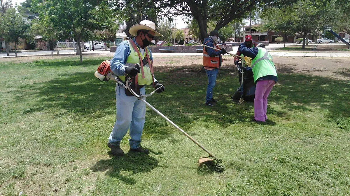 mantenimiento parque ortiz de campos 3