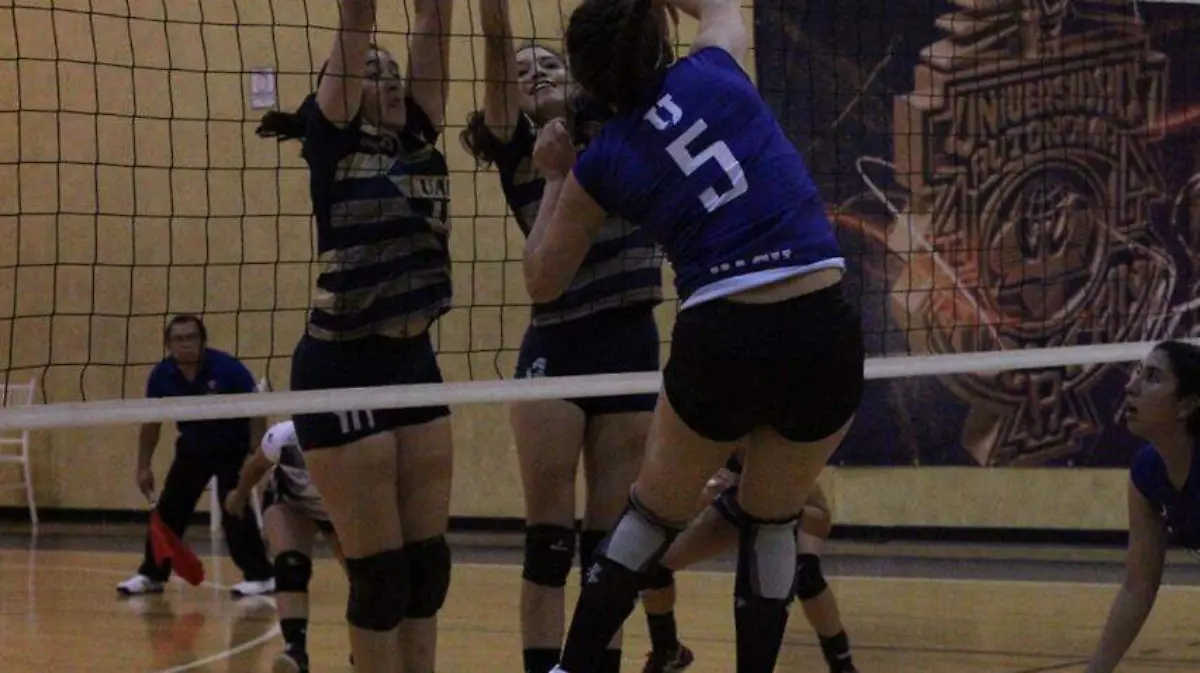 f29af6e9-c639-4002-9daa-c110a41ec696