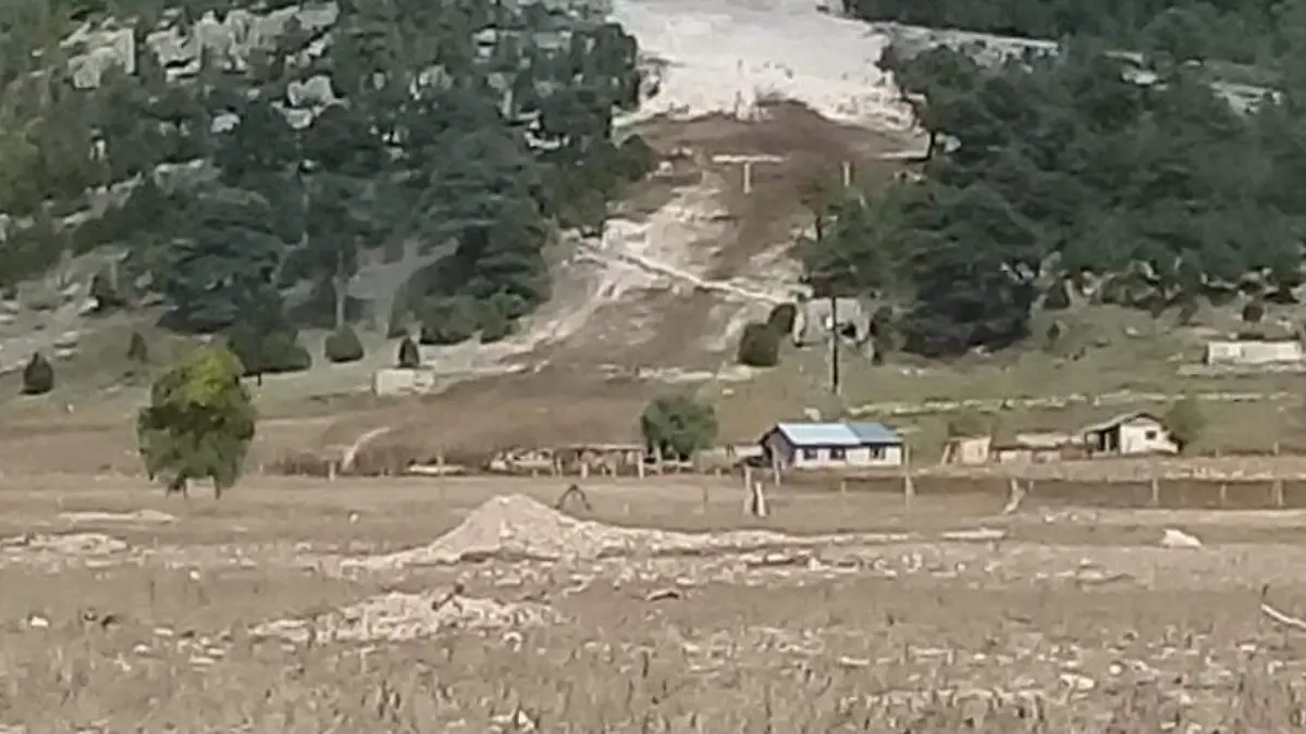 WhatsApp Image 2022-07-25 at 1.38.43 PM (1)