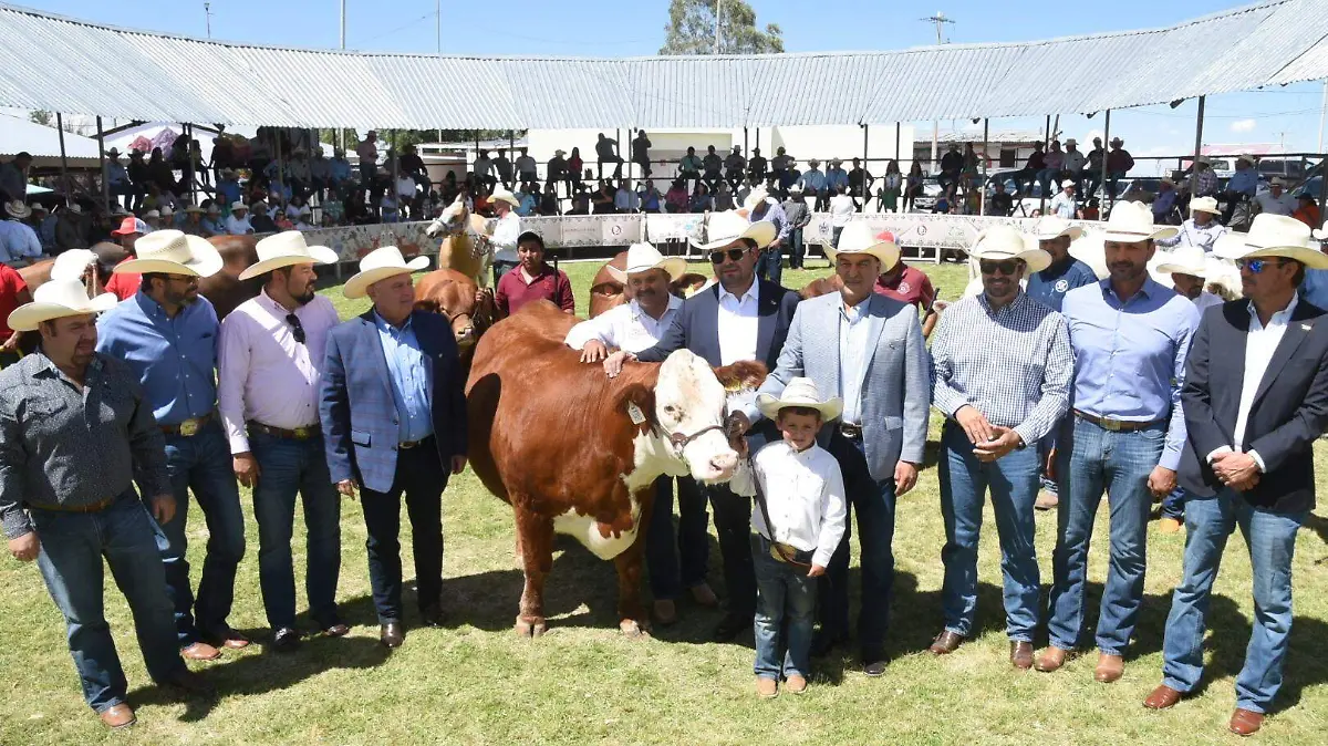 Exposición Ganadera 