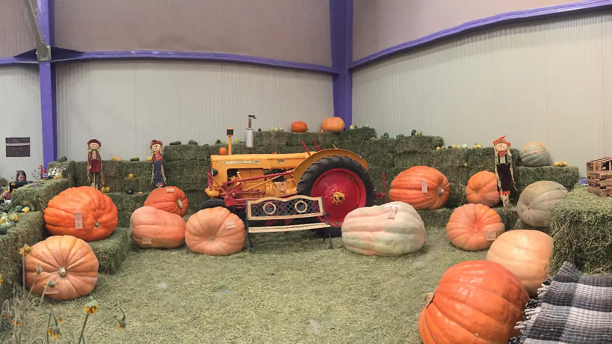Del 27 al 29 de septiembre, el Festival de la Calabaza