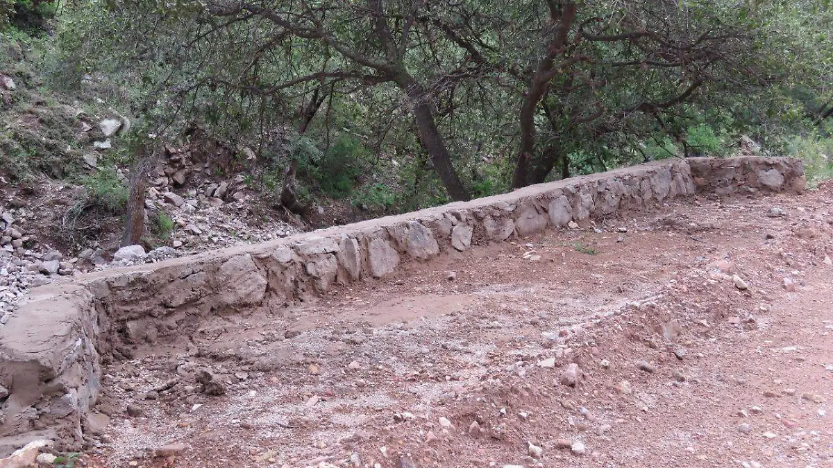 WhatsApp Image 2021-12-01 at 10.52.42 AM