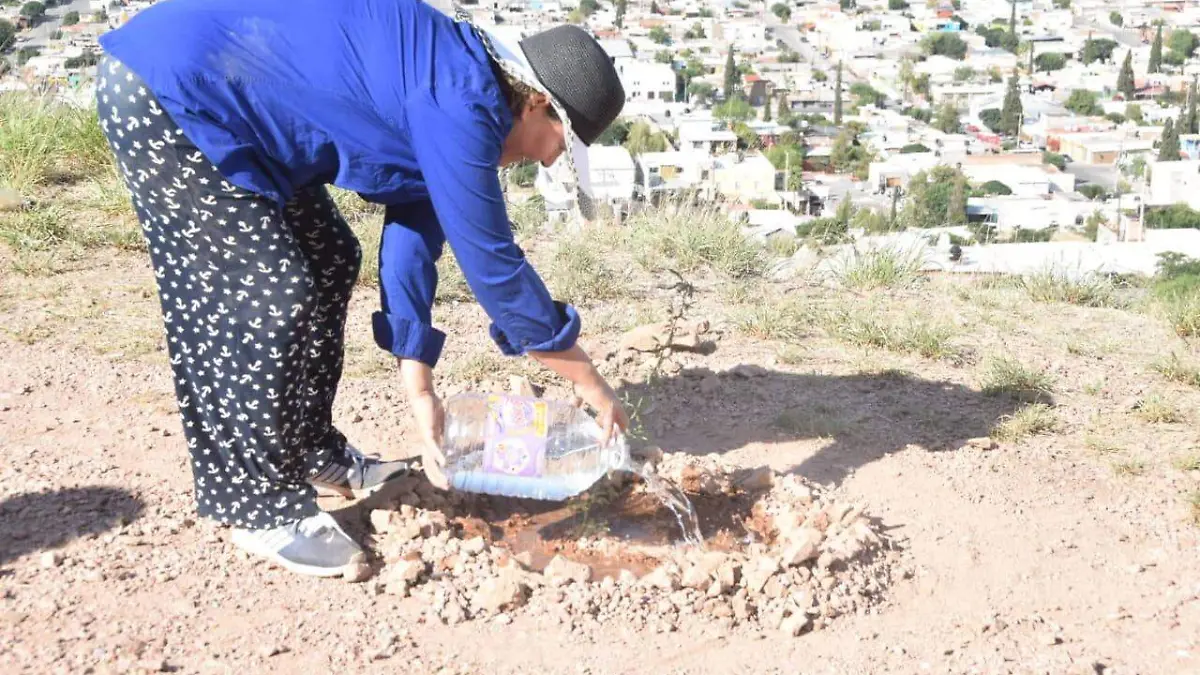 88eb3443-6dad-463c-8ebb-58457113bd3a