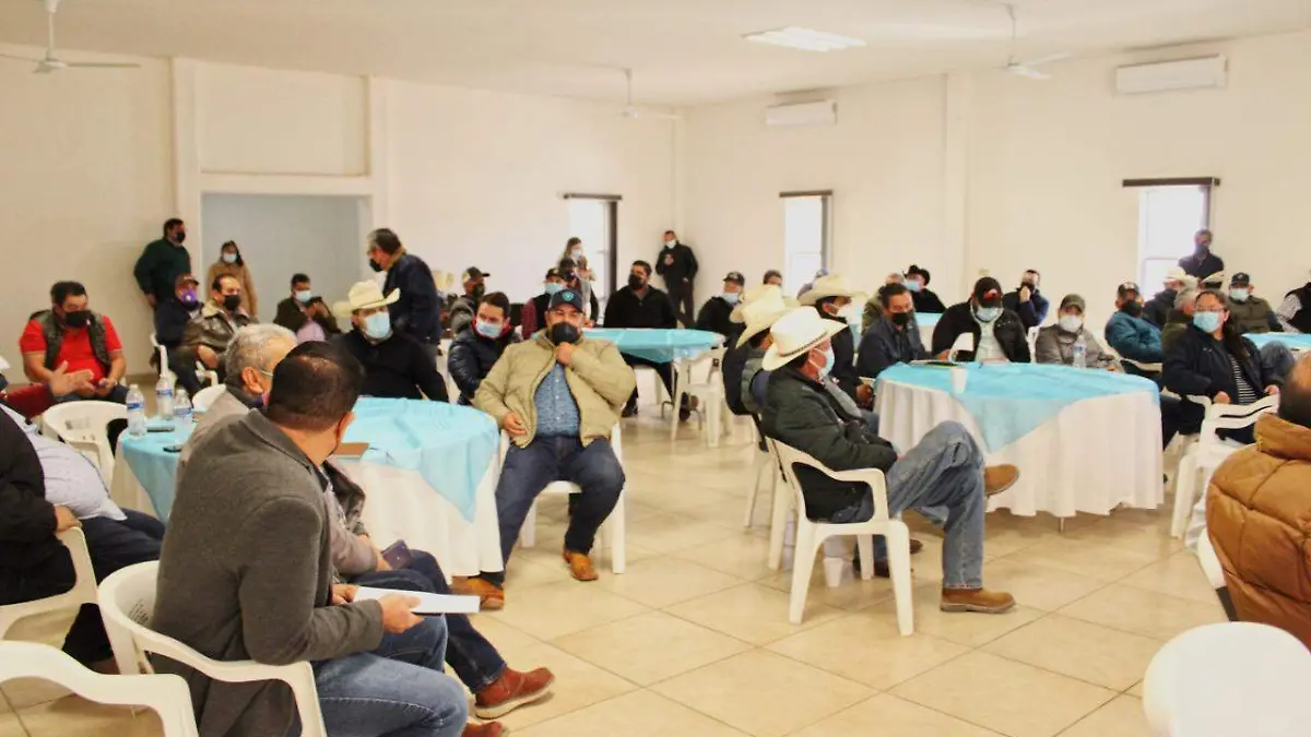 CERTIFICACIÓN DE PRODUCTORES DE CEBOLLA