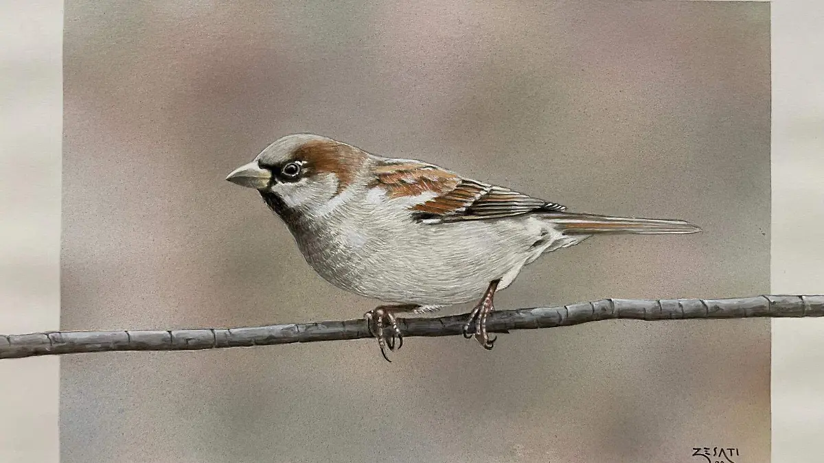 WhatsApp Image 2023-05-16 at 5.46.16 PM