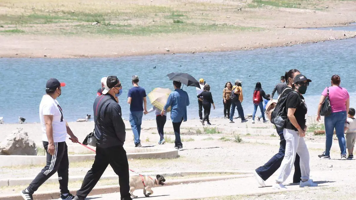 Presa el Rejón 1