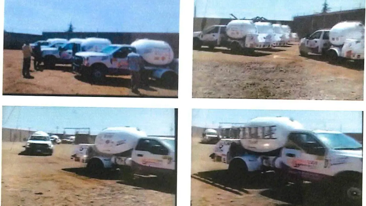 WhatsApp Image 2021-05-29 at 12.00.55 PM