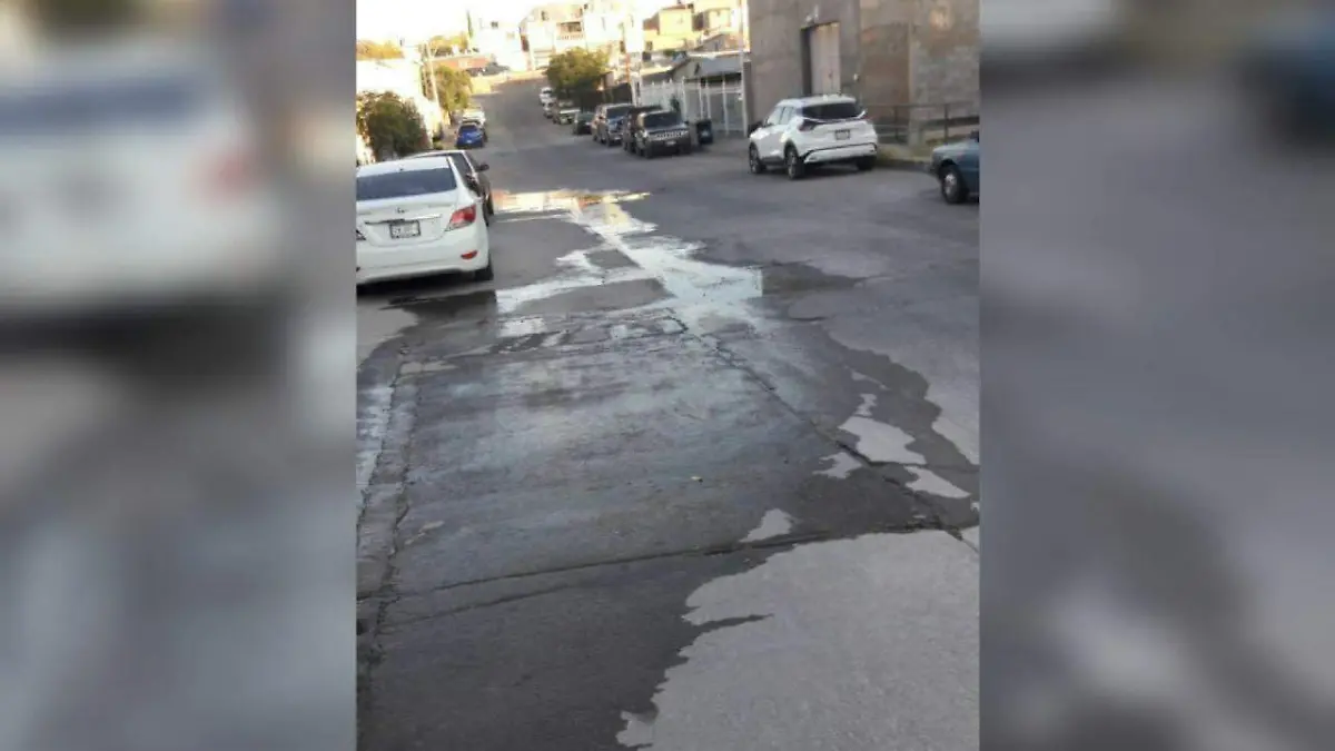 WhatsApp Image 2022-11-22 at 9.12.01 AM