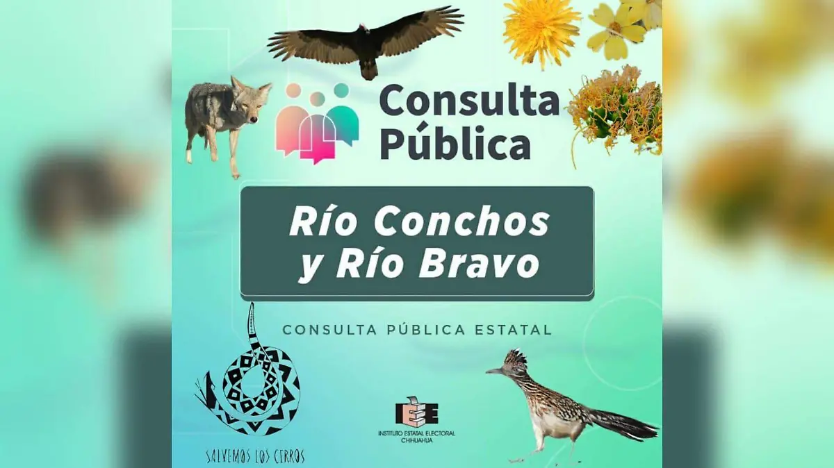 WhatsApp Image 2023-09-02 at 11.33.26 AM