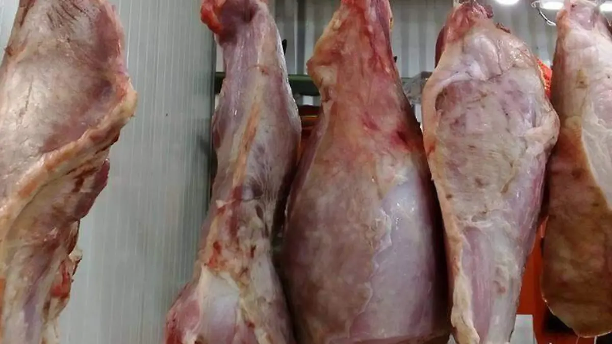 WhatsApp Image 2022-11-17 at 15.41.33